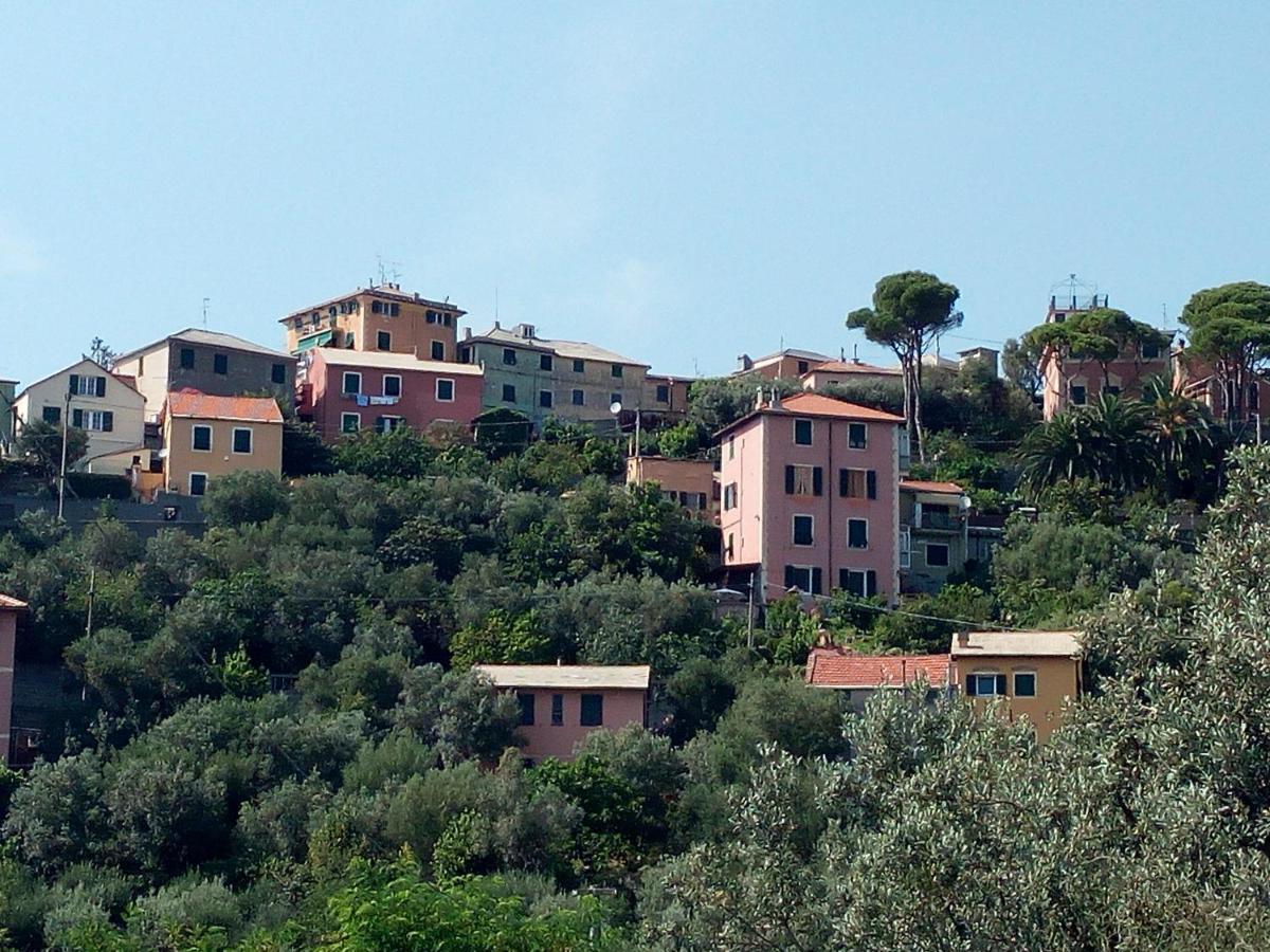 Villa Villino "Il Rustichetto" Génova Exterior foto